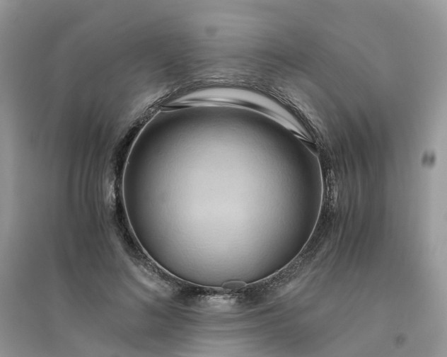 X0000096160692200802011256