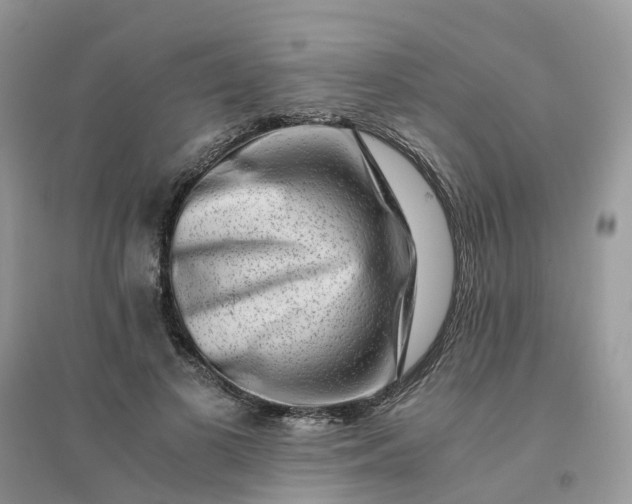 X0000096160693200802011256