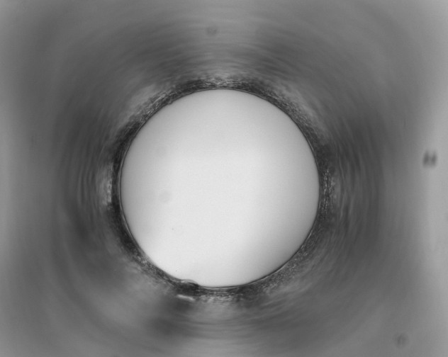 X0000096160694200802011256