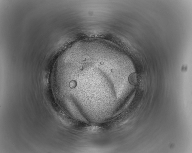 X0000096160695200802011256