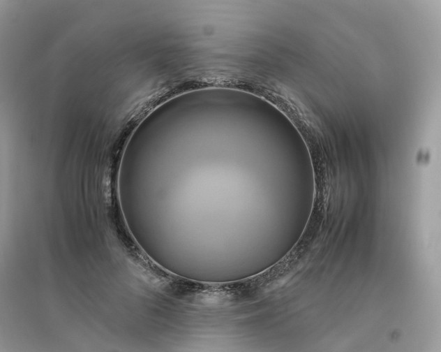 X0000096160696200802011256