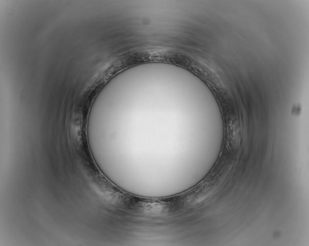 X0000096160698200802011256