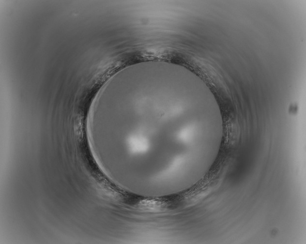 X0000096160699200802011256