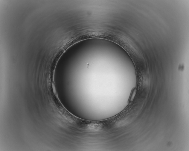 X0000096160700200802011256