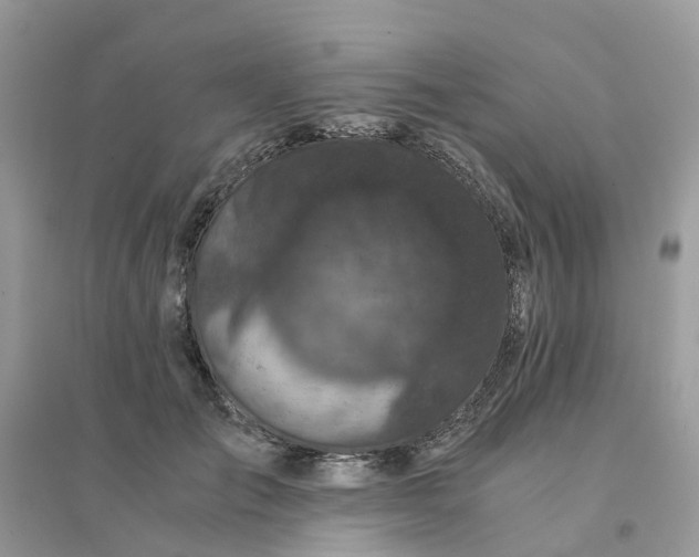 X0000096160701200802011256