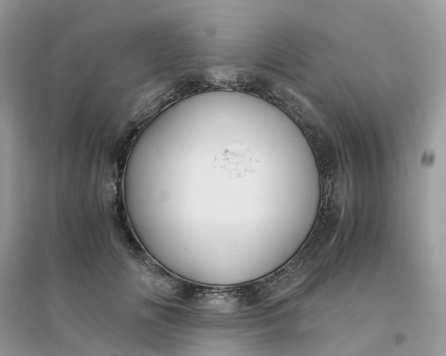 X0000096160702200802011256