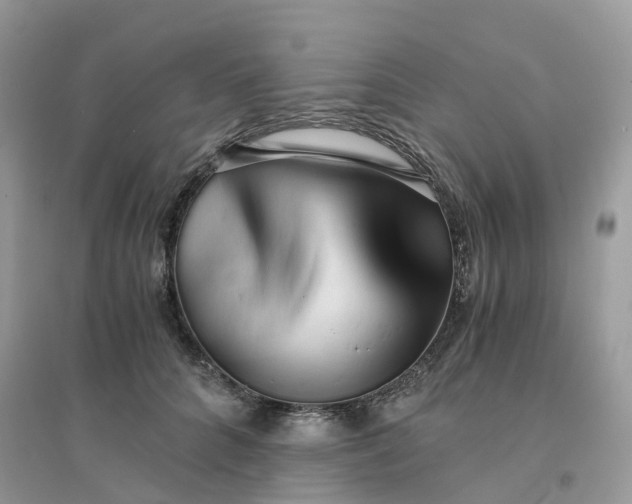 X0000096160704200802011256