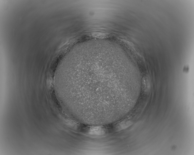 X0000096160705200802011256