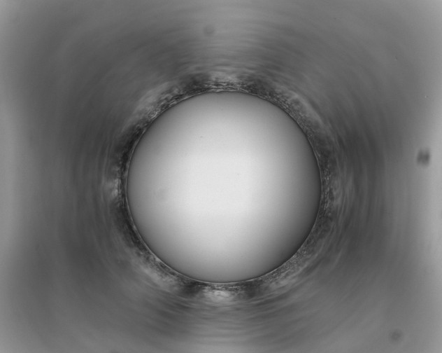 X0000096160706200802011256