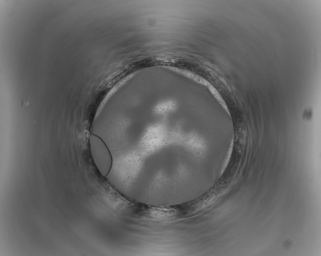 X0000096160707200802011256