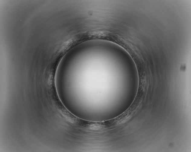 X0000096160708200802011256