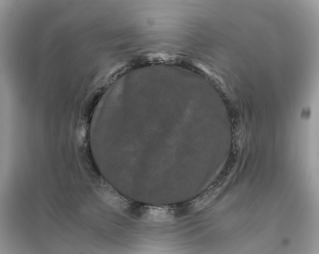 X0000096160709200802011256