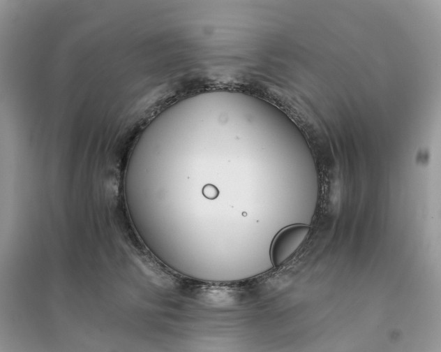 X0000096160710200802011256