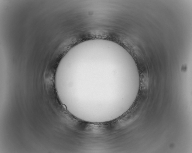 X0000096160713200802011256