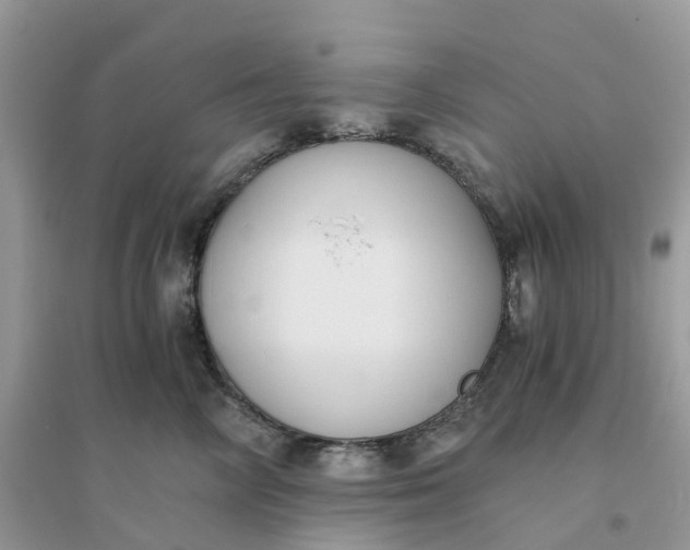 X0000096160714200802011256