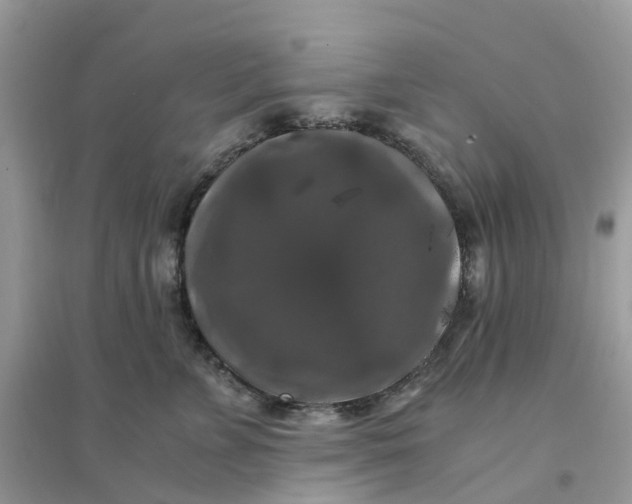 X0000096160715200802011256