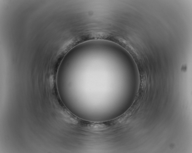 X0000096160716200802011256