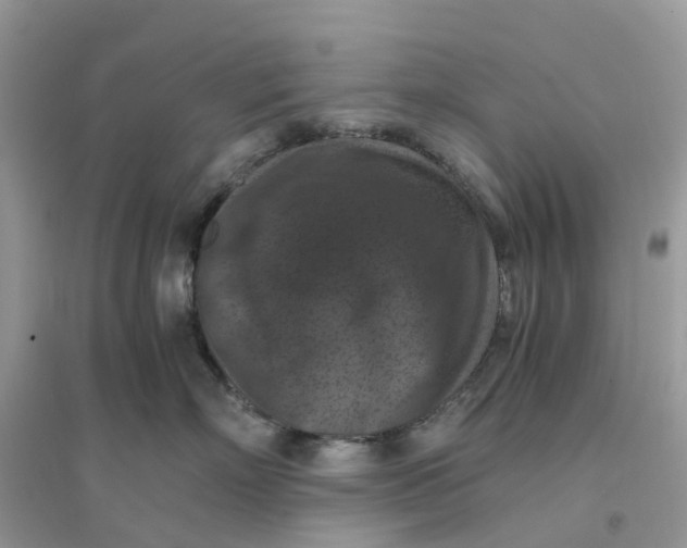 X0000096160718200802011256