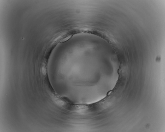 X0000096160719200802011256