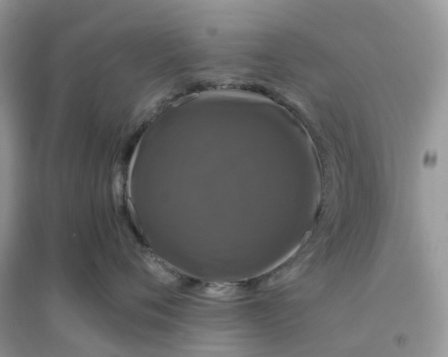 X0000096160720200802011256