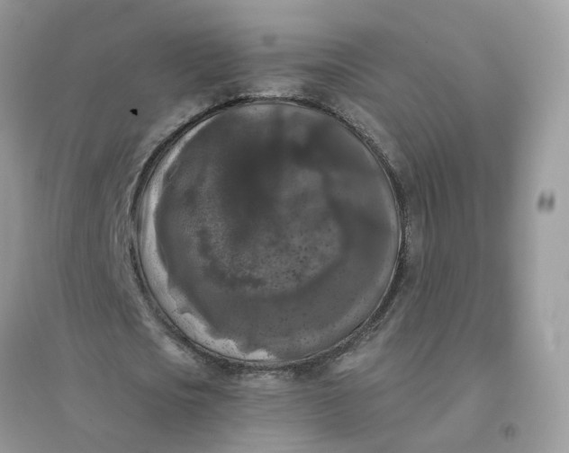 X0000096160721200802011255