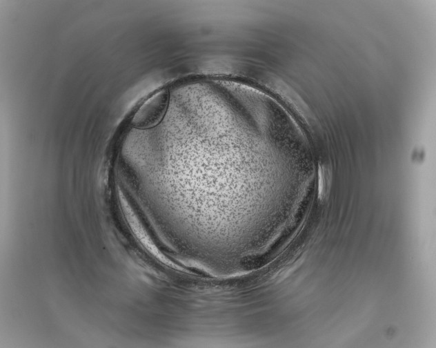 X0000096160723200802011255