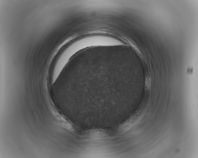 X0000096160724200802011255