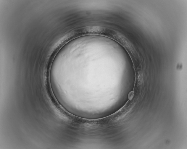 X0000096160725200802011255