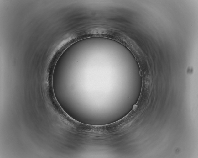 X0000096160727200802011255