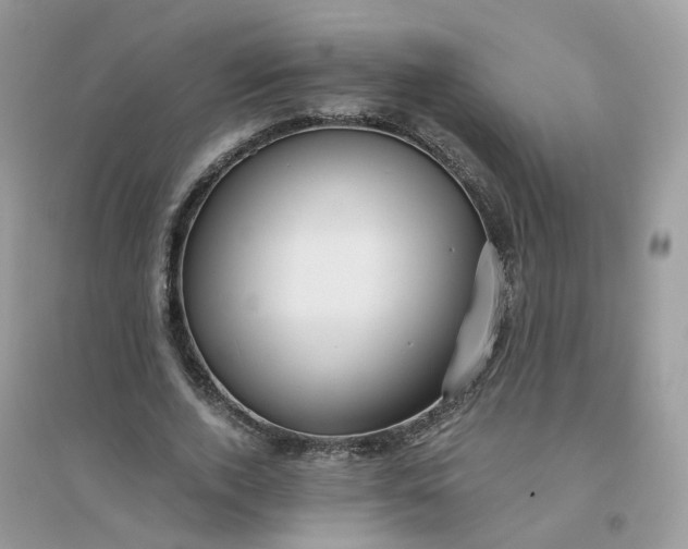 X0000096160728200802011255