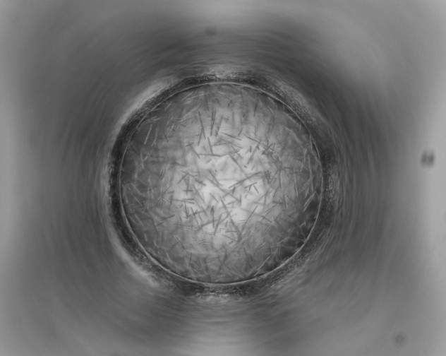 X0000096160730200802011255