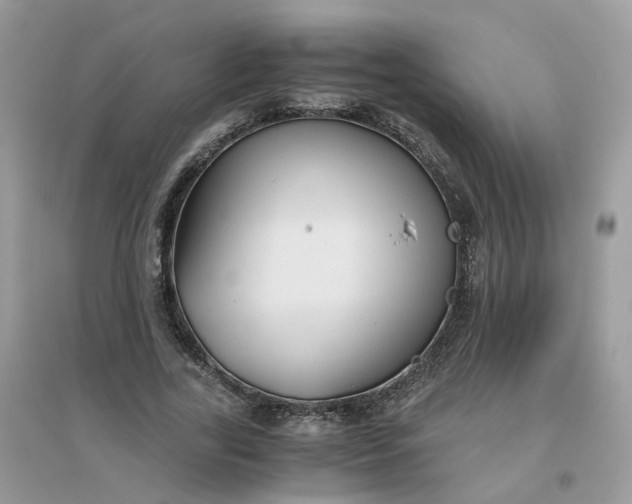 X0000096160731200802011255