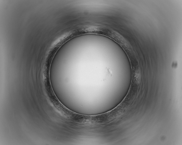 X0000096160732200802011255