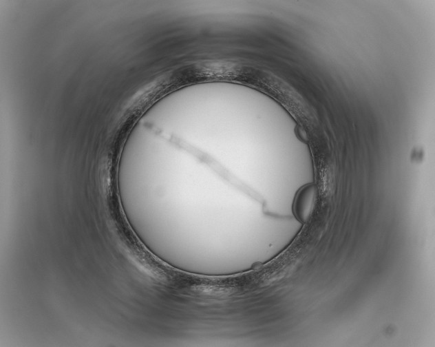 X0000096160733200802011255