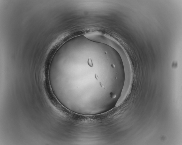 X0000096160734200802011255