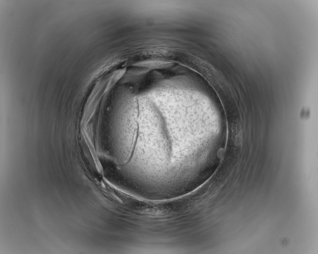 X0000096160735200802011255