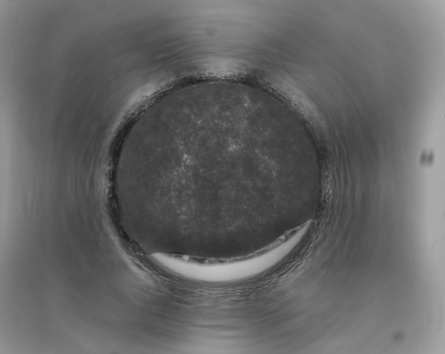 X0000096160736200802011255