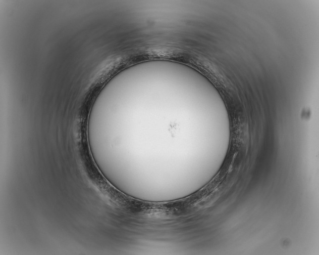 X0000096160738200802011255