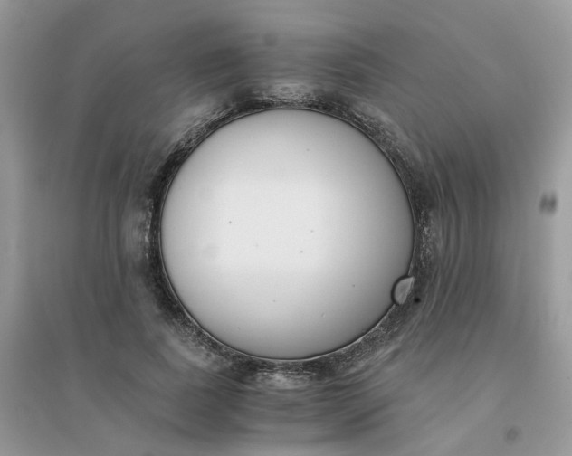 X0000096160739200802011255