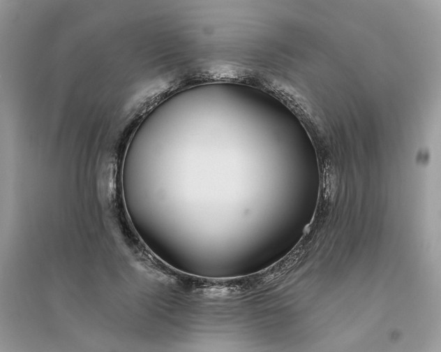 X0000096160740200802011255