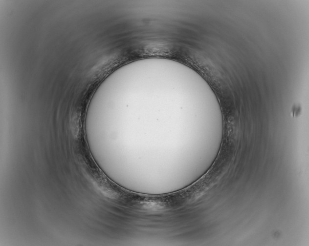 X0000096160741200802011255