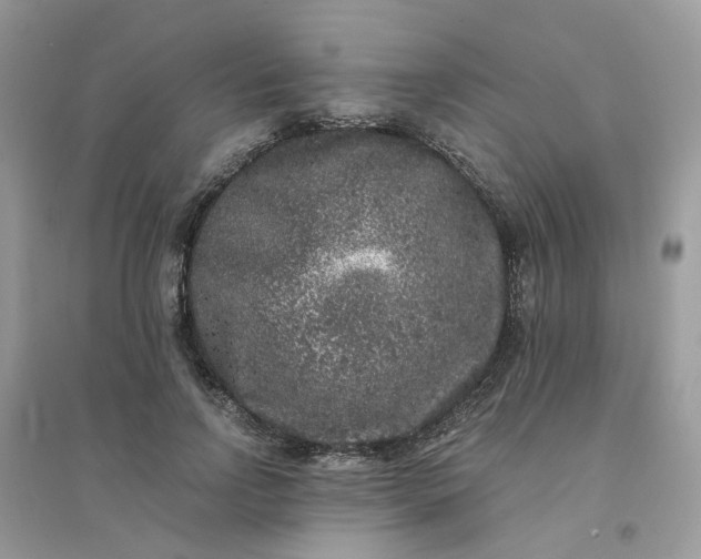 X0000096160742200802011255