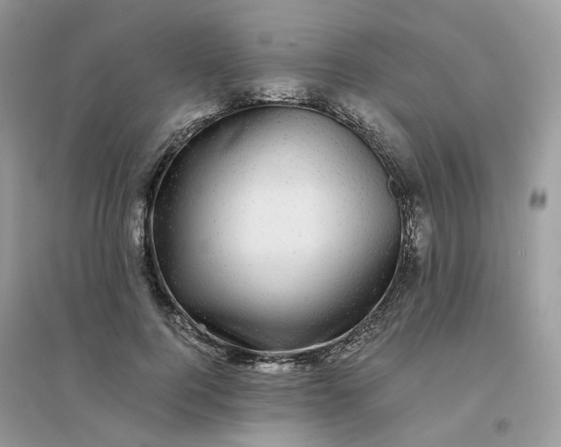 X0000096160744200802011255