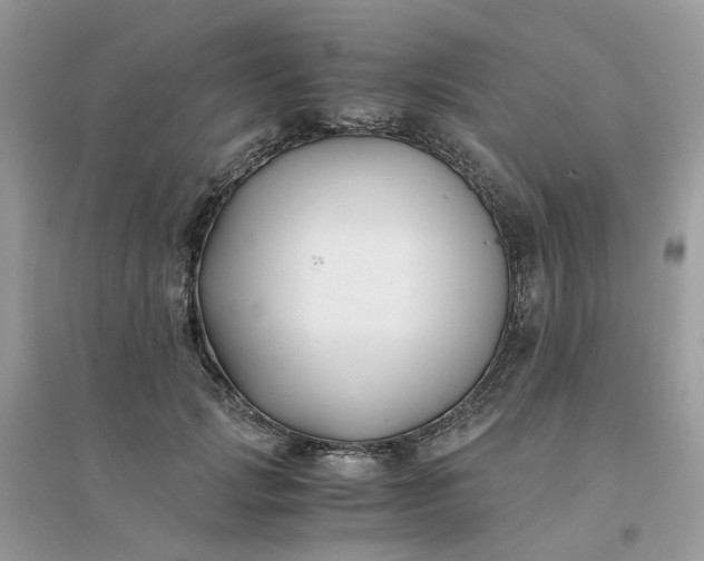 X0000096160749200802011255