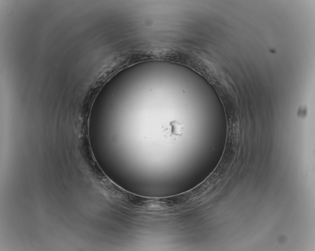 X0000096160750200802011255