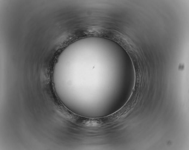 X0000096160751200802011255