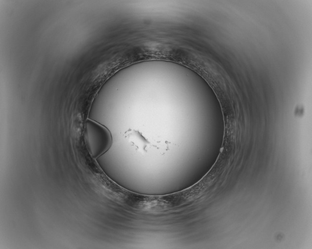 X0000096160752200802011255