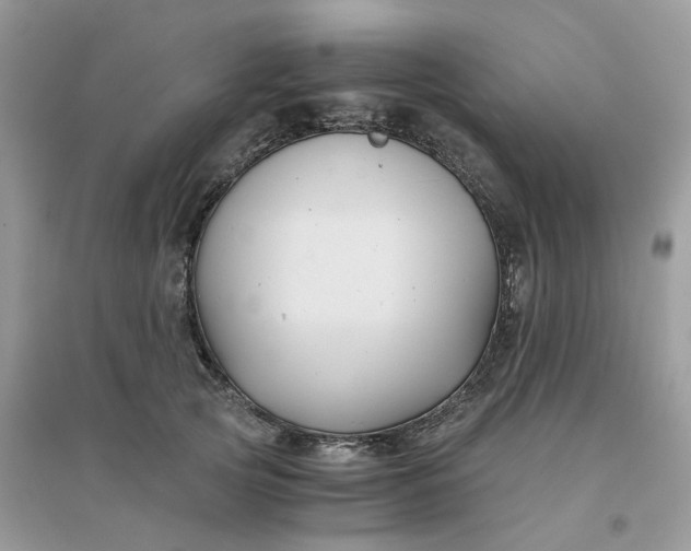 X0000096160753200802011255