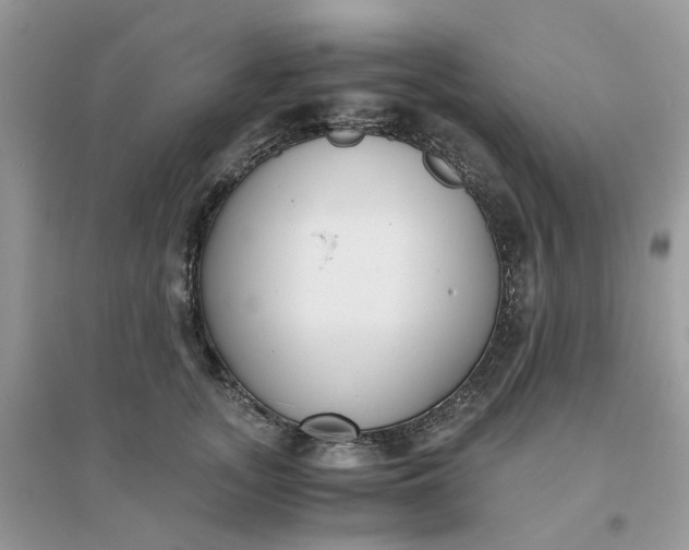 X0000096160755200802011255