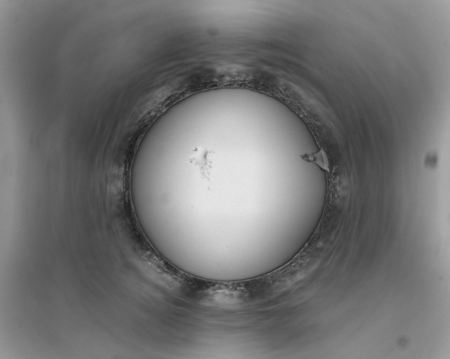 X0000096160756200802011255